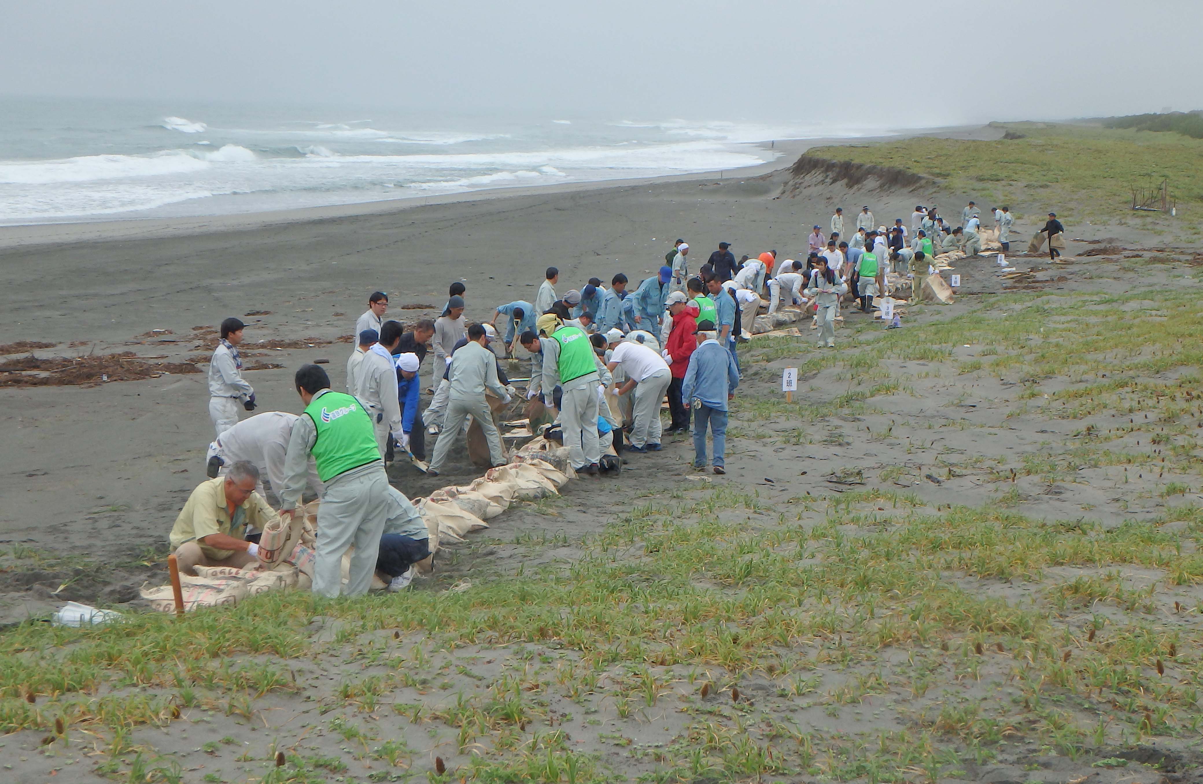 砂浜回復活動