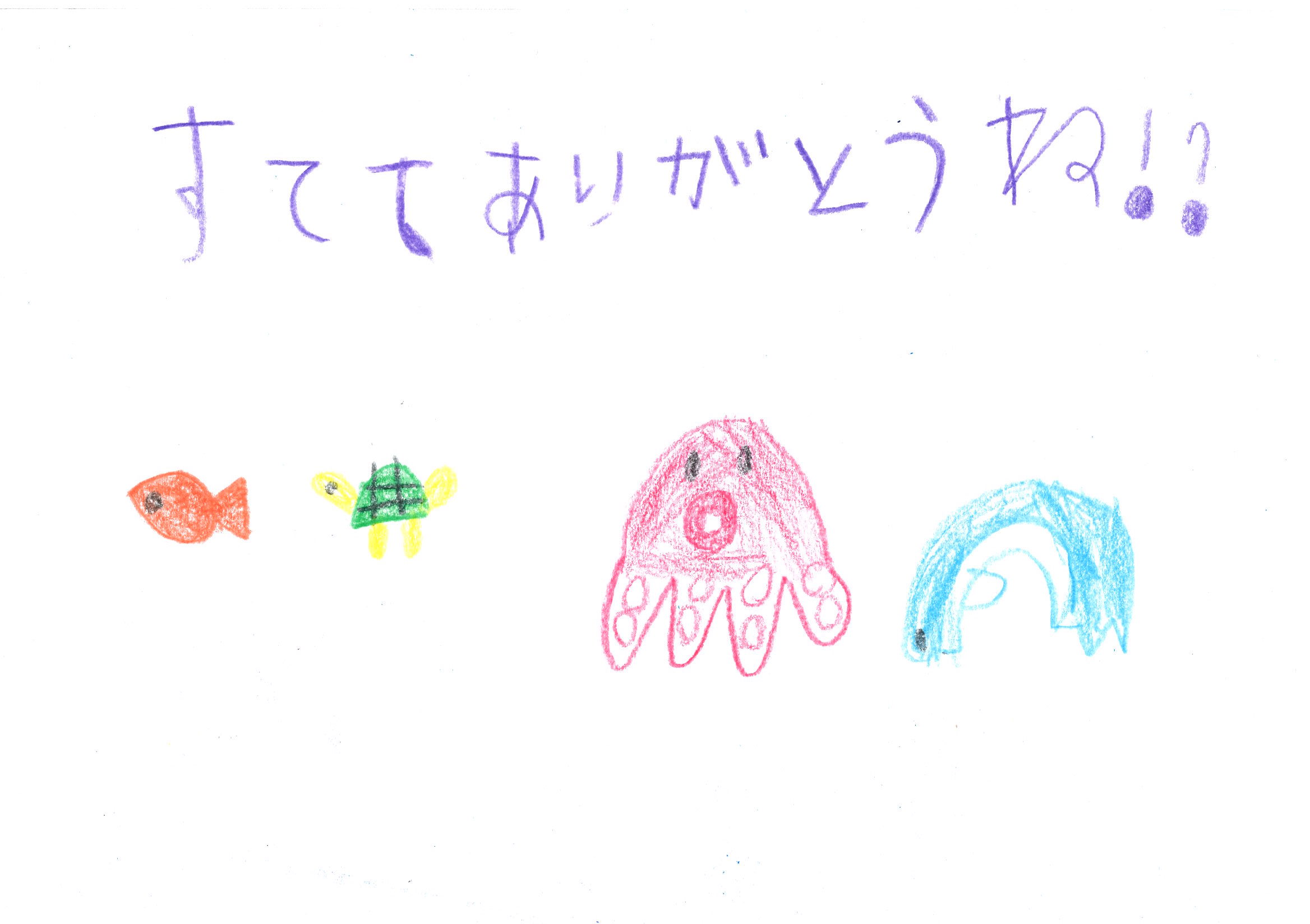 その他 活動報告 サンクチュアリ エヌピーオー